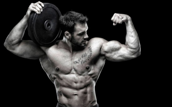 Программа тренировок Фулбоди