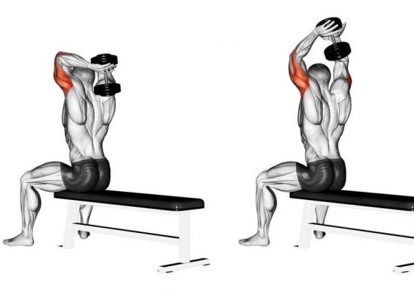 Французский жим с гантелей стоя или сидя